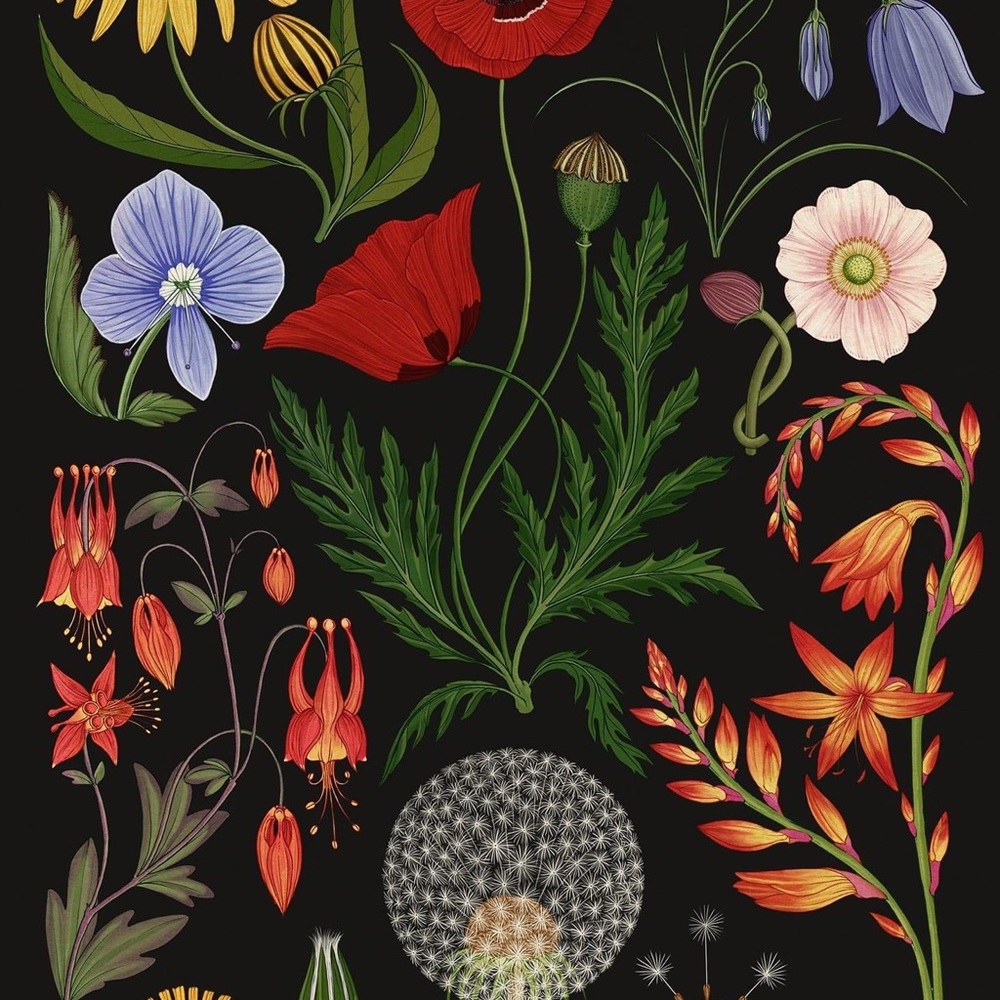 Meet your Posher, Dylan